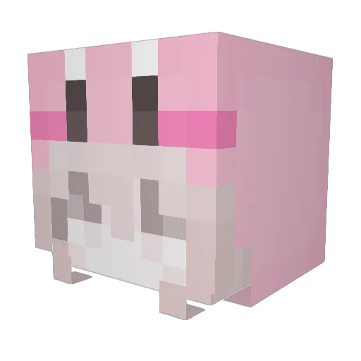 eqrly_ Minecraft avatar head, 3D render