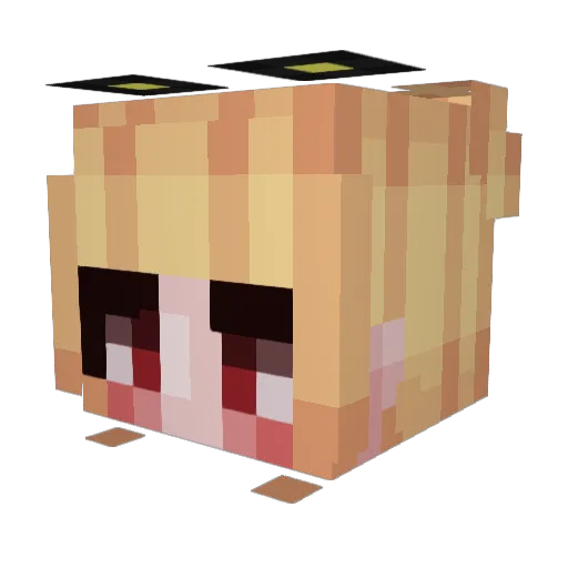 eqsaquoot Minecraft avatar head, 3D render