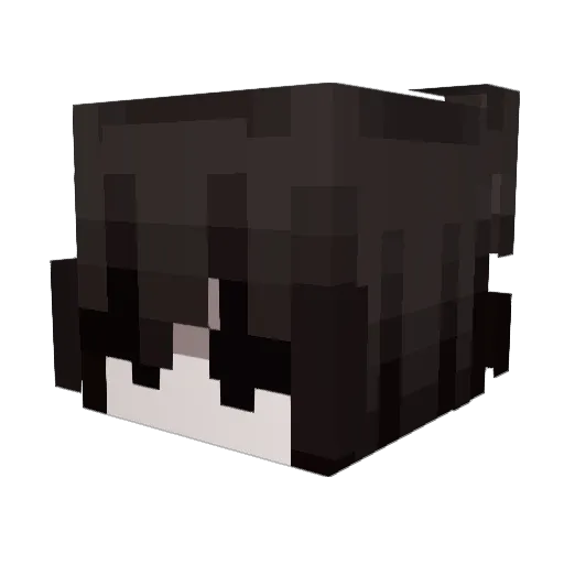 eqtn Minecraft avatar head, 3D render