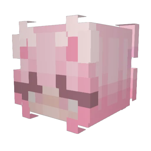 eqty Minecraft avatar head, 3D render