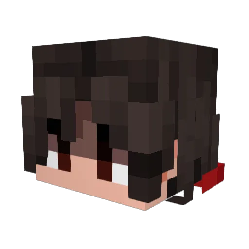 eqtysc Minecraft avatar head, 3D render