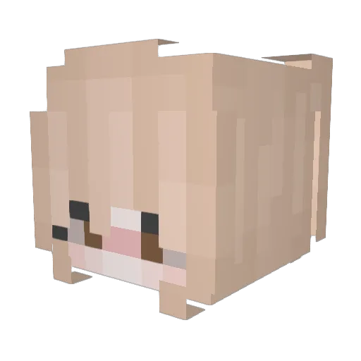 equacy Minecraft avatar head, 3D render