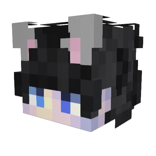 equal2337 Minecraft avatar head, 3D render