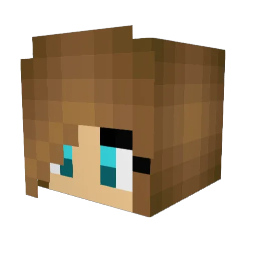 equineLover02 Minecraft avatar head, 3D render