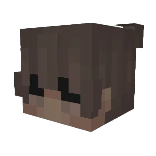 equinn862 Minecraft avatar head, 3D render