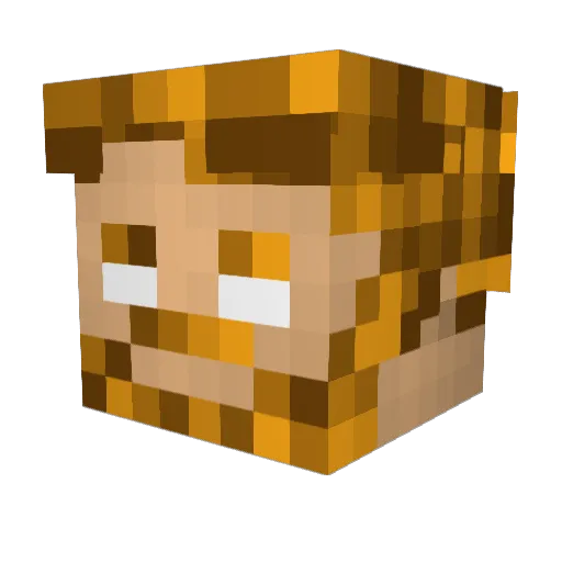 equisx01 Minecraft avatar head, 3D render