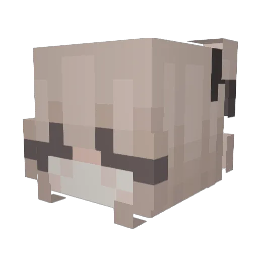 eqva Minecraft avatar head, 3D render