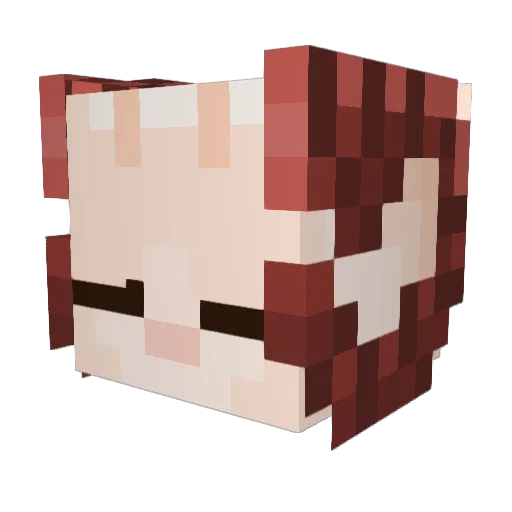 era_diasomnia Minecraft avatar head, 3D render