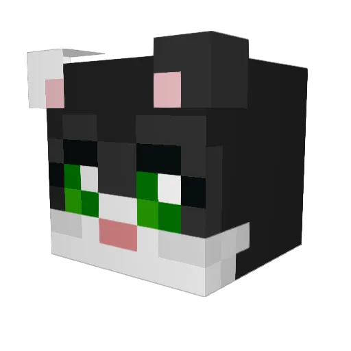 eradoria Minecraft avatar head, 3D render