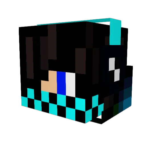 erag2001 Minecraft avatar head, 3D render