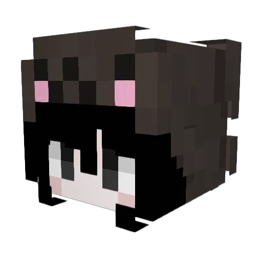 erail Minecraft avatar head, 3D render