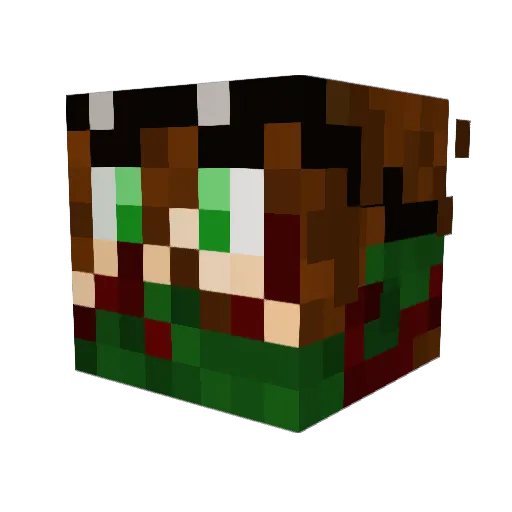 erar Minecraft avatar head, 3D render