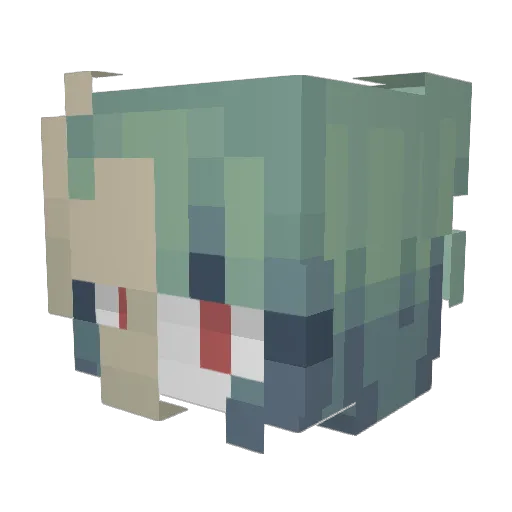 erasemint Minecraft avatar head, 3D render