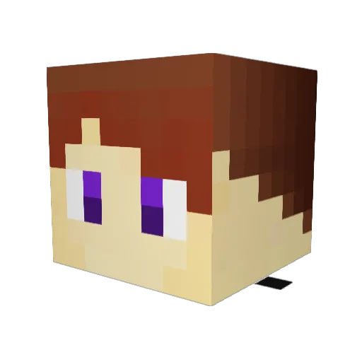 eraser0529 Minecraft avatar head, 3D render