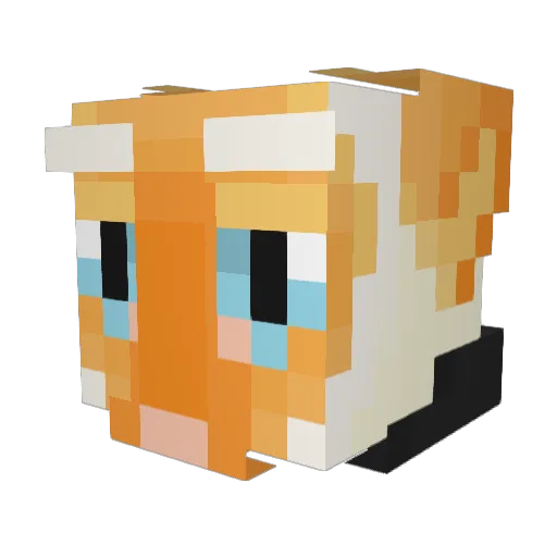erasercrumbs Minecraft avatar head, 3D render
