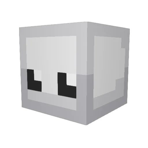 erayyy323 Minecraft avatar head, 3D render