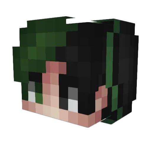 erayyzapkinus Minecraft avatar head, 3D render