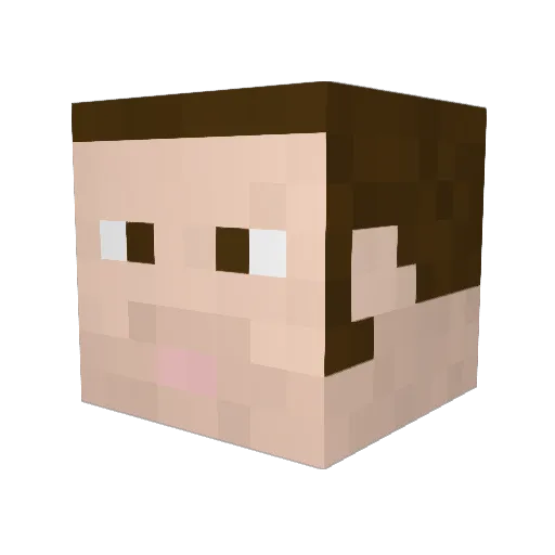 erbaker Minecraft avatar head, 3D render