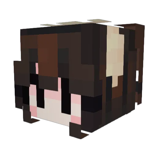 erbi1234 Minecraft avatar head, 3D render