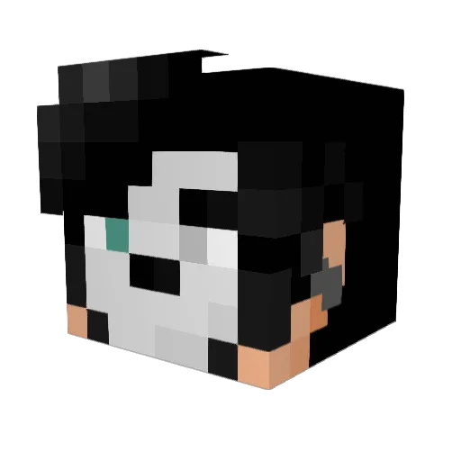 erbodd Minecraft avatar head, 3D render