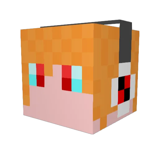 erdemMini123 Minecraft avatar head, 3D render