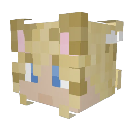 erecshawnn Minecraft avatar head, 3D render