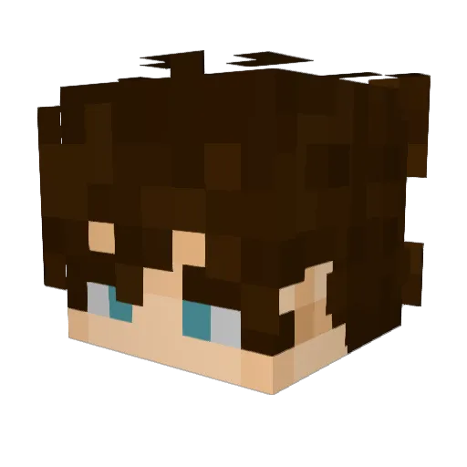 erehoN11 Minecraft avatar head, 3D render