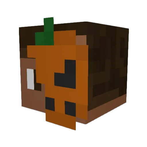 erensmc Minecraft avatar head, 3D render