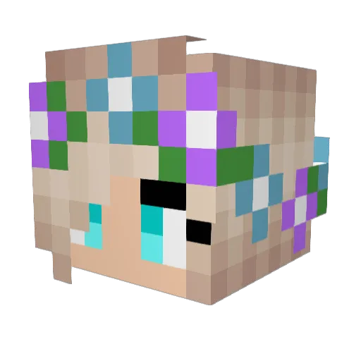 erfjcrew Minecraft avatar head, 3D render