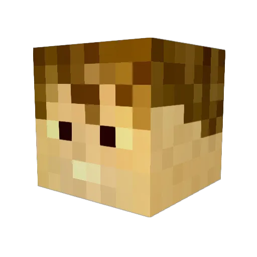 eri089 Minecraft avatar head, 3D render