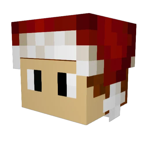 eric1007 Minecraft avatar head, 3D render