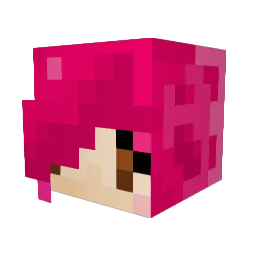 erica_cole Minecraft avatar head, 3D render