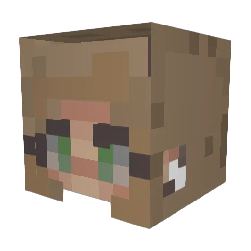 ericamatsuda Minecraft avatar head, 3D render