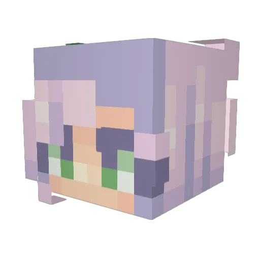 ericstaal23 Minecraft avatar head, 3D render