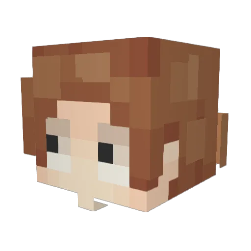 eridanamporas Minecraft avatar head, 3D render
