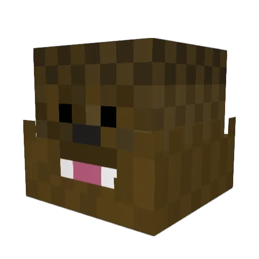 erik4003 Minecraft avatar head, 3D render