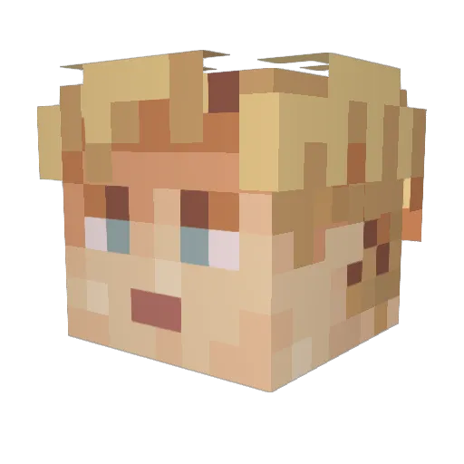 erik_030402 Minecraft avatar head, 3D render