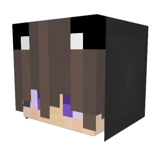 erik_jasper Minecraft avatar head, 3D render