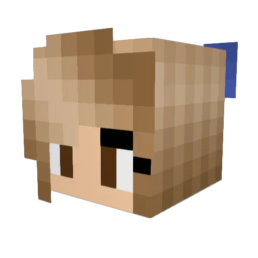 erikanicole34 Minecraft avatar head, 3D render