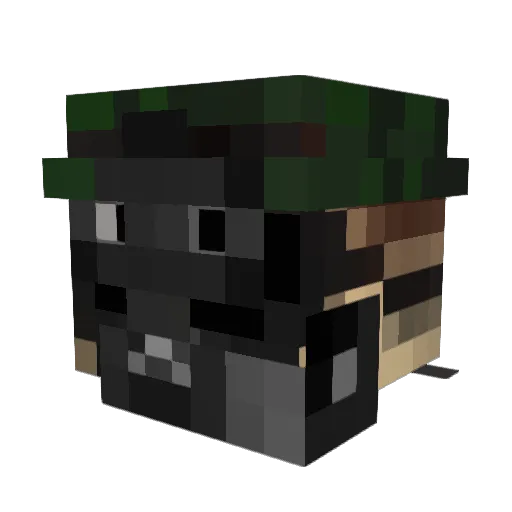 erikbb21 Minecraft avatar head, 3D render