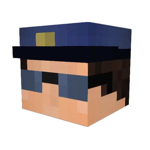 erikmed5e Minecraft avatar head, 3D render