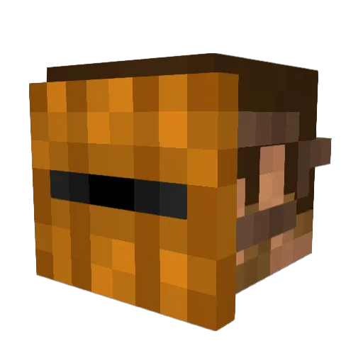 erikriley11 Minecraft avatar head, 3D render
