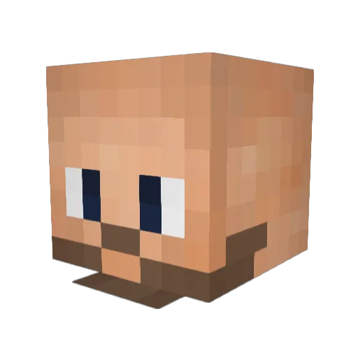erikssito9 Minecraft avatar head, 3D render