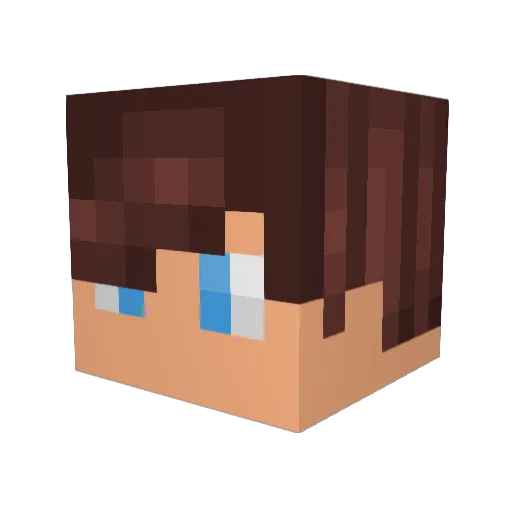erikus9 Minecraft avatar head, 3D render