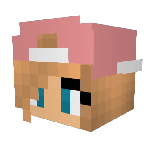 erikw98 Minecraft avatar head, 3D render