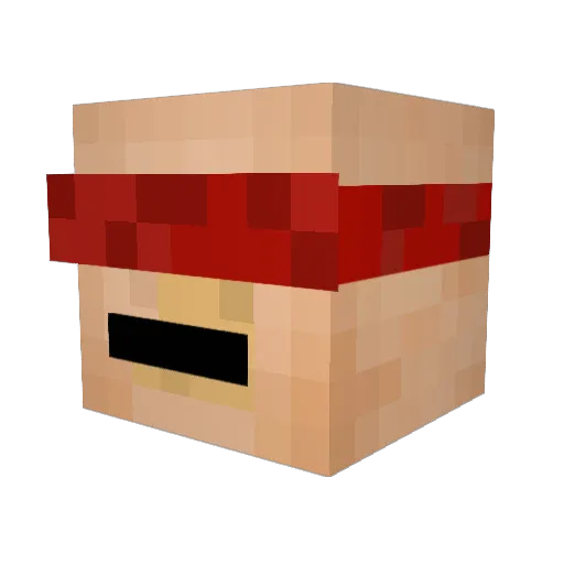 erikz5 Minecraft avatar head, 3D render