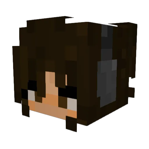 erin0015 Minecraft avatar head, 3D render