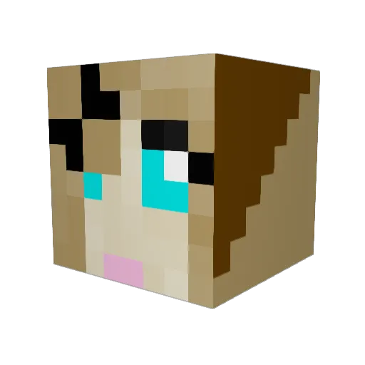 erinapplebaum Minecraft avatar head, 3D render
