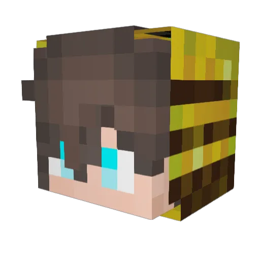 eringi055 Minecraft avatar head, 3D render