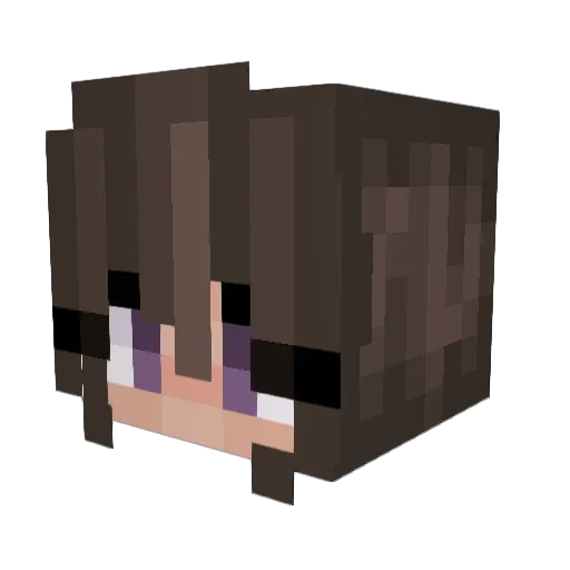 erinkte Minecraft avatar head, 3D render